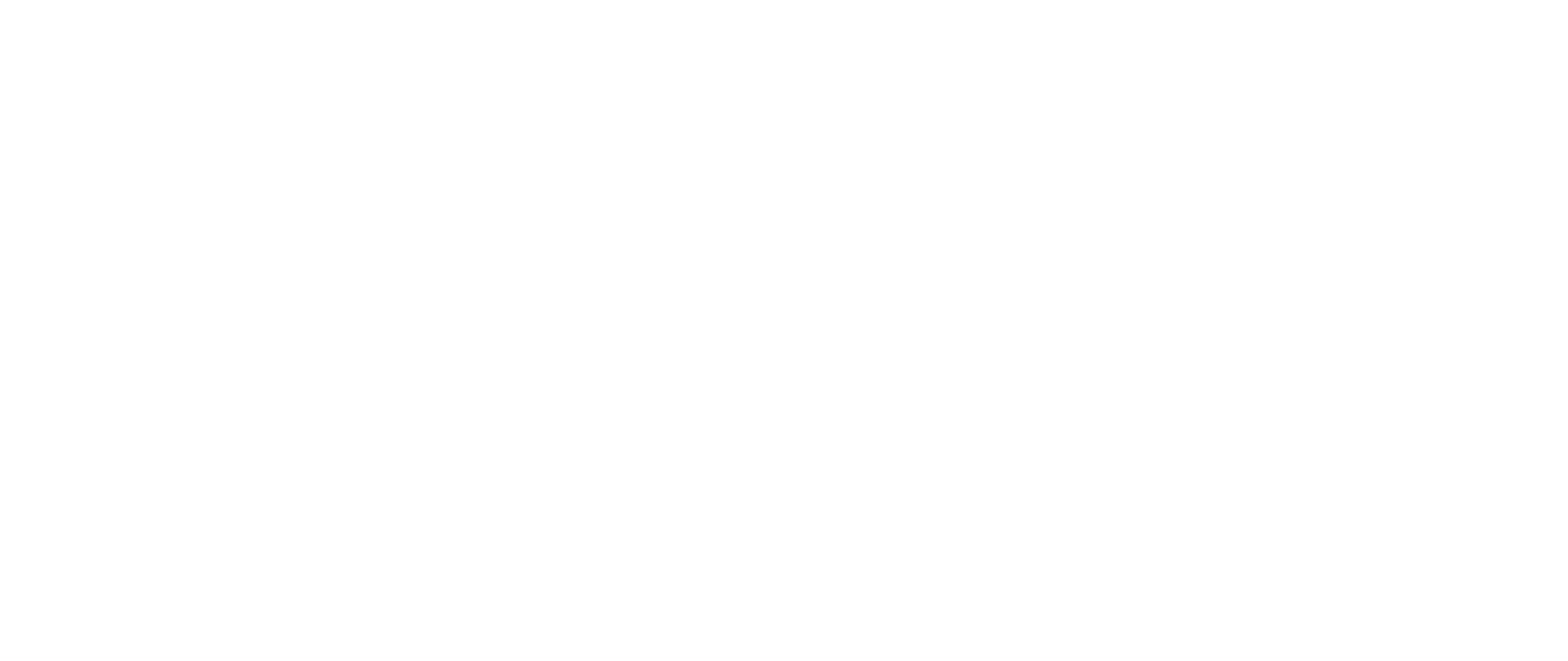SR-NAMB-IMB Logo_White