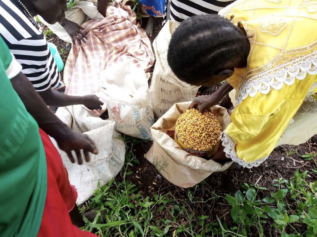 Food Distribution Creates Curiosity in Sudanese Muslim Community
